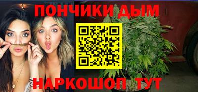 spice Гатчина