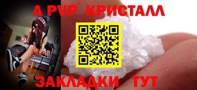 spice Гатчина