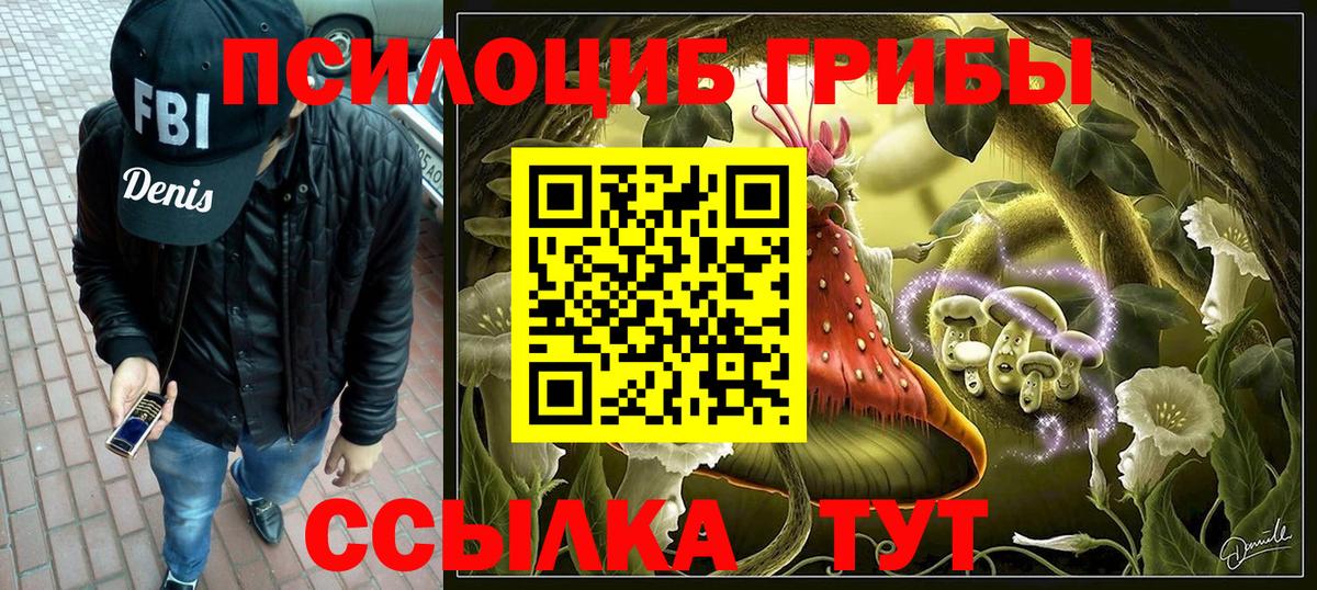 где купить наркоту  Псилоцибиновые грибы прущие грибы  Вход с VPN  Ивантеевка 